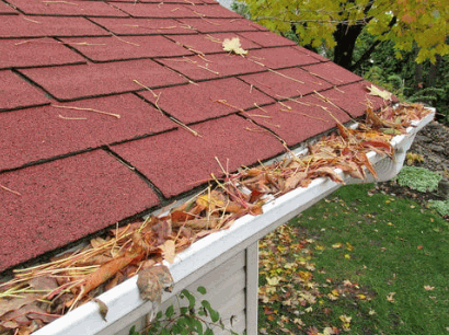 Clogged Gutters