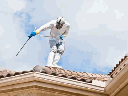 How Often Should A Roof Be Soft Washed