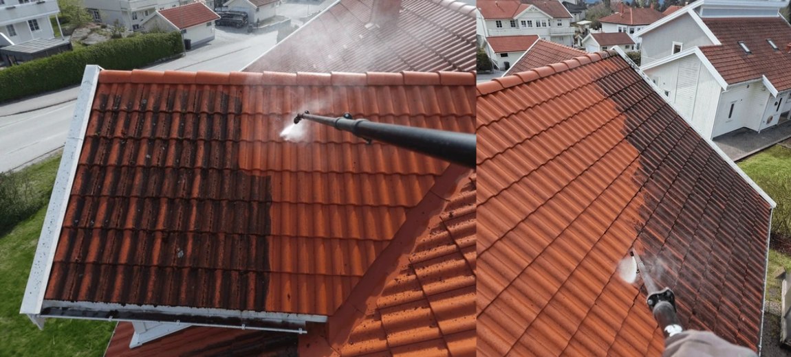 Professional Roof Cleaning Company You Can Count On