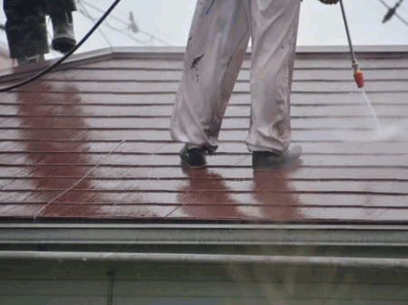 Roof Cleaning Cost