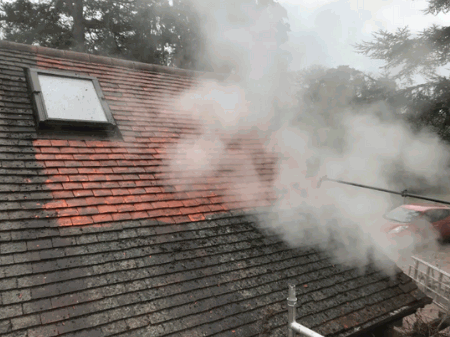 Roof Steam Cleaning