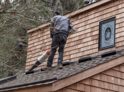 Roof Wash Team For Your Roof Moss Removal