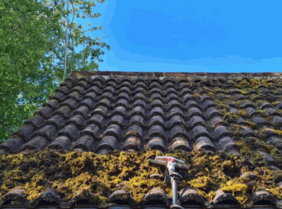 To Clean A Roof Without A Pressure Washer