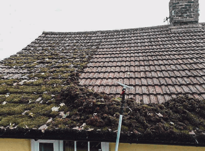 Using The Roof Wash Team For Your Roof Cleaning